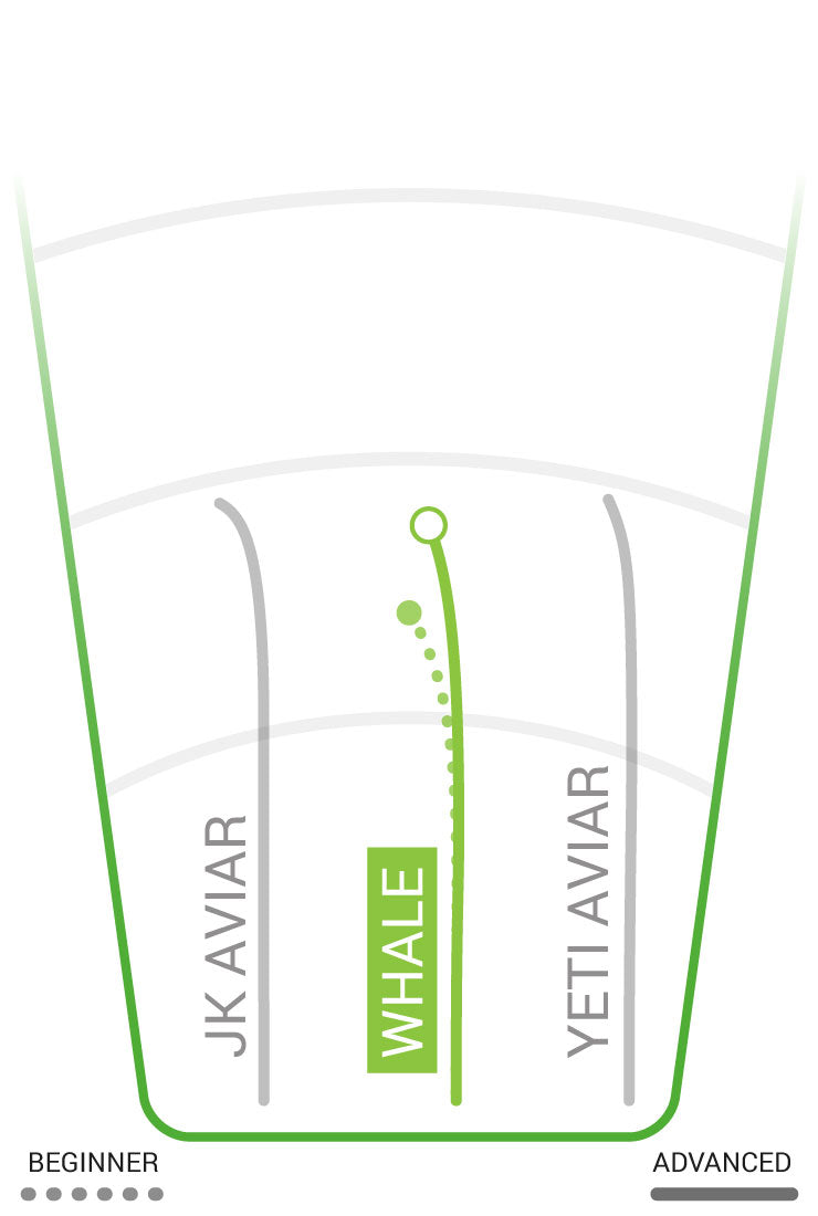 Innova DX Whale Disc - Innova