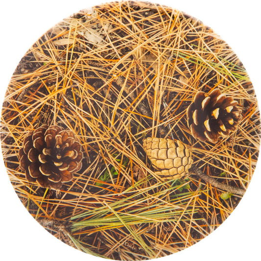 Dynamic Discs Fuzion Felon Disc - Dye-abolical Dyemax Pine Straw