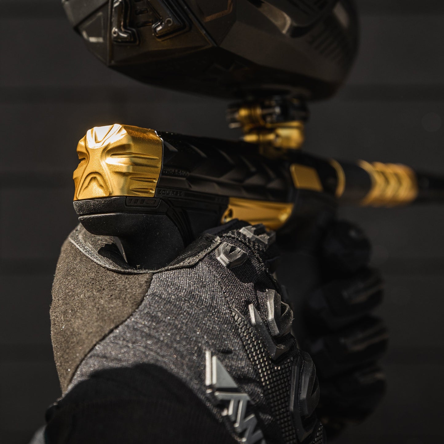 HK Fossil - Eclipse CS3 - Prestige